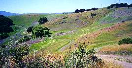 Bernal Trail junction